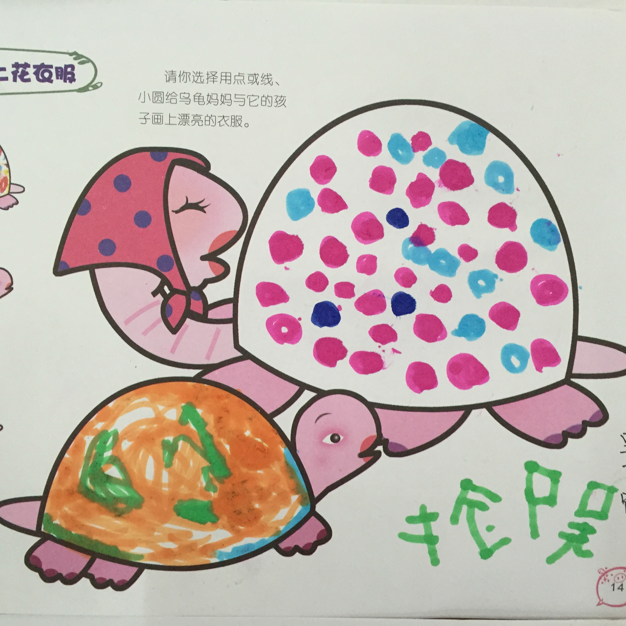 乌龟妈妈和乌龟宝宝