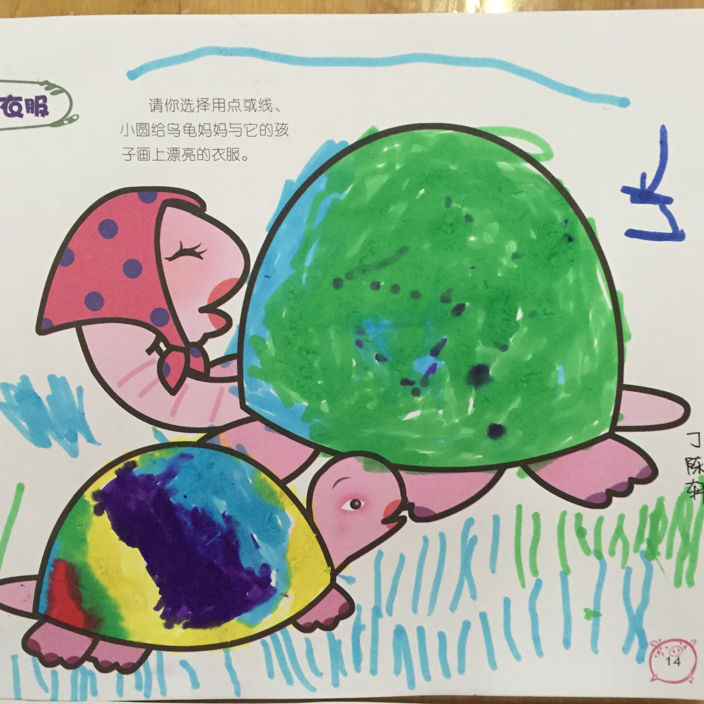 乌龟妈妈和乌龟宝宝