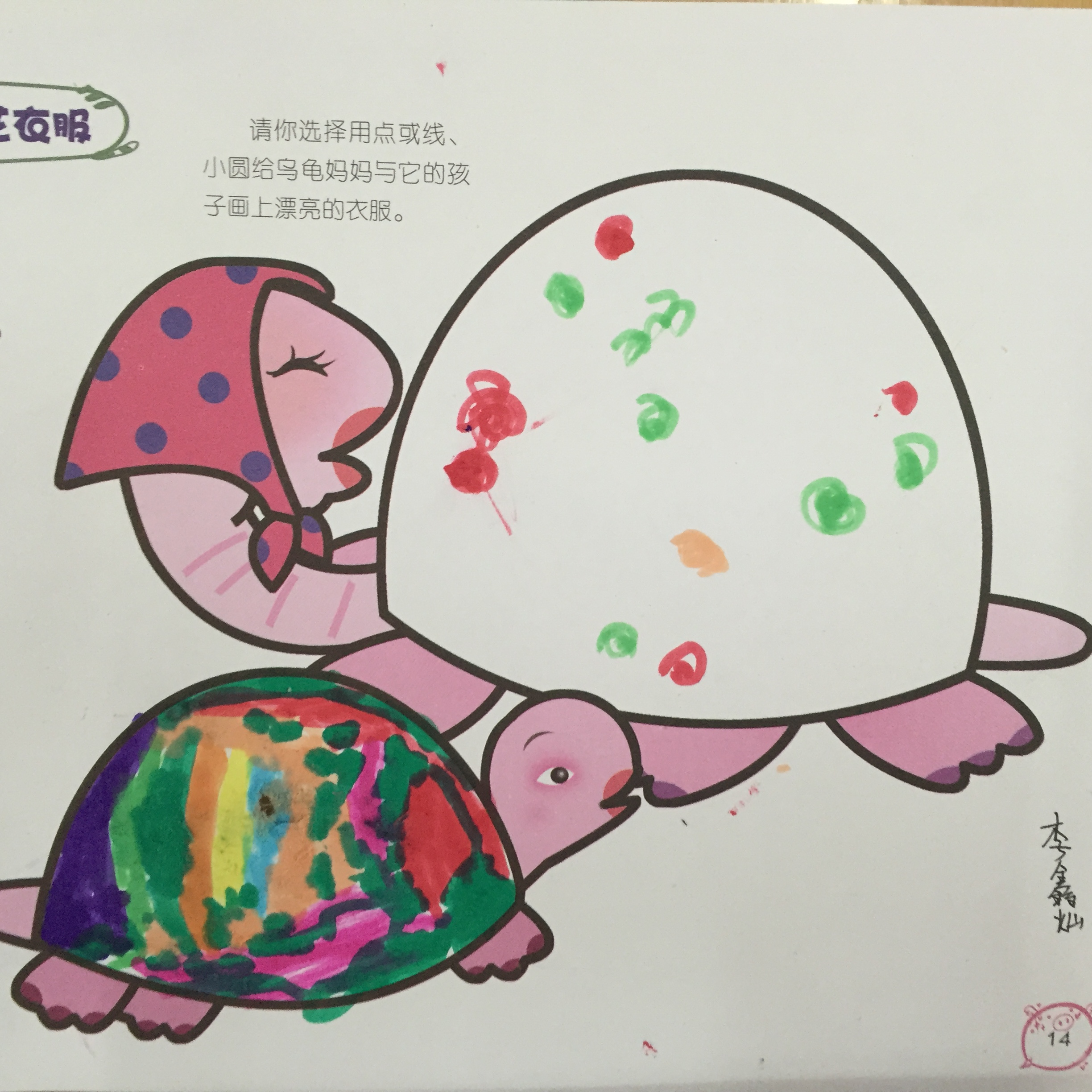 乌龟妈妈和乌龟宝宝